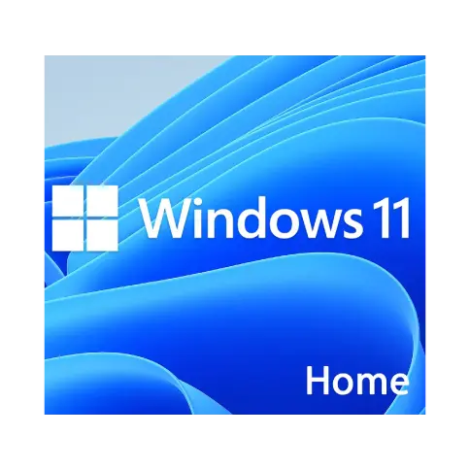 Windows 11 Home Retail key activation on personal computer system