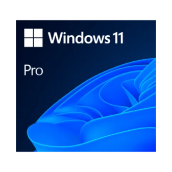 Windows 11 Pro OEM key activation interface on desktop computer