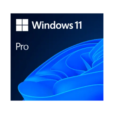 Windows 11 Pro OEM key activation interface on desktop computer