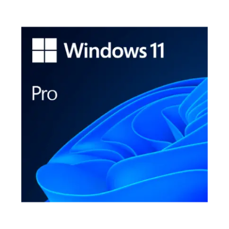 Windows 11 Pro OEM key activation interface on desktop computer